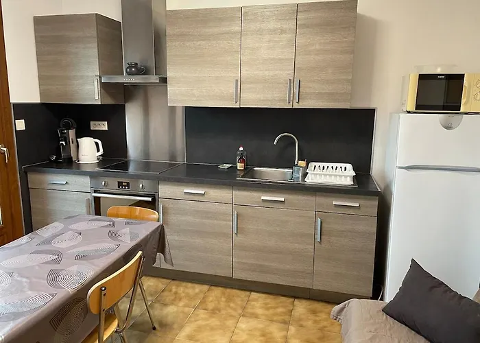 Appartamento Joli Avec Terrasse Baccara *